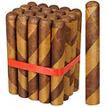 Dominican Barberpole Same Farm as GFC bundle 20